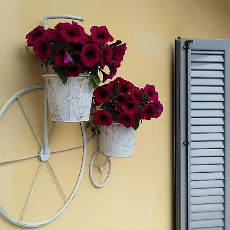 Katerina Apartment. Corfu Town Apartment *